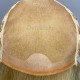 Парик из натуральных волос 1642-122
